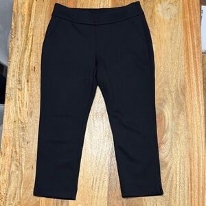 CAbi Diplomat trouser